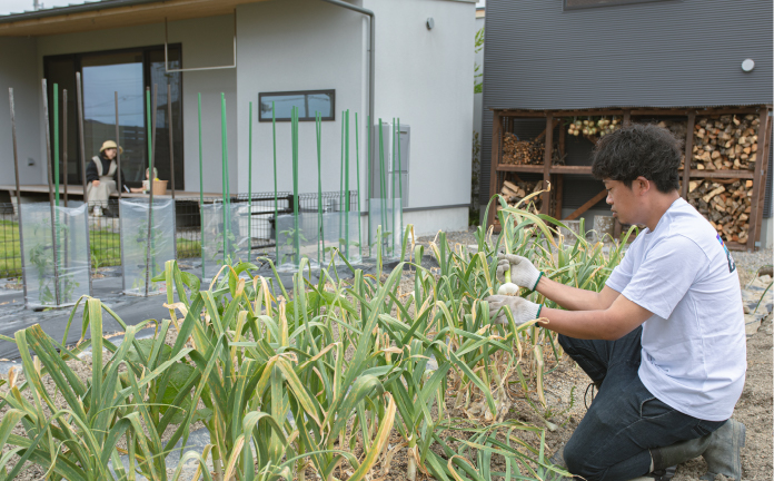 家庭菜園で育てた野菜