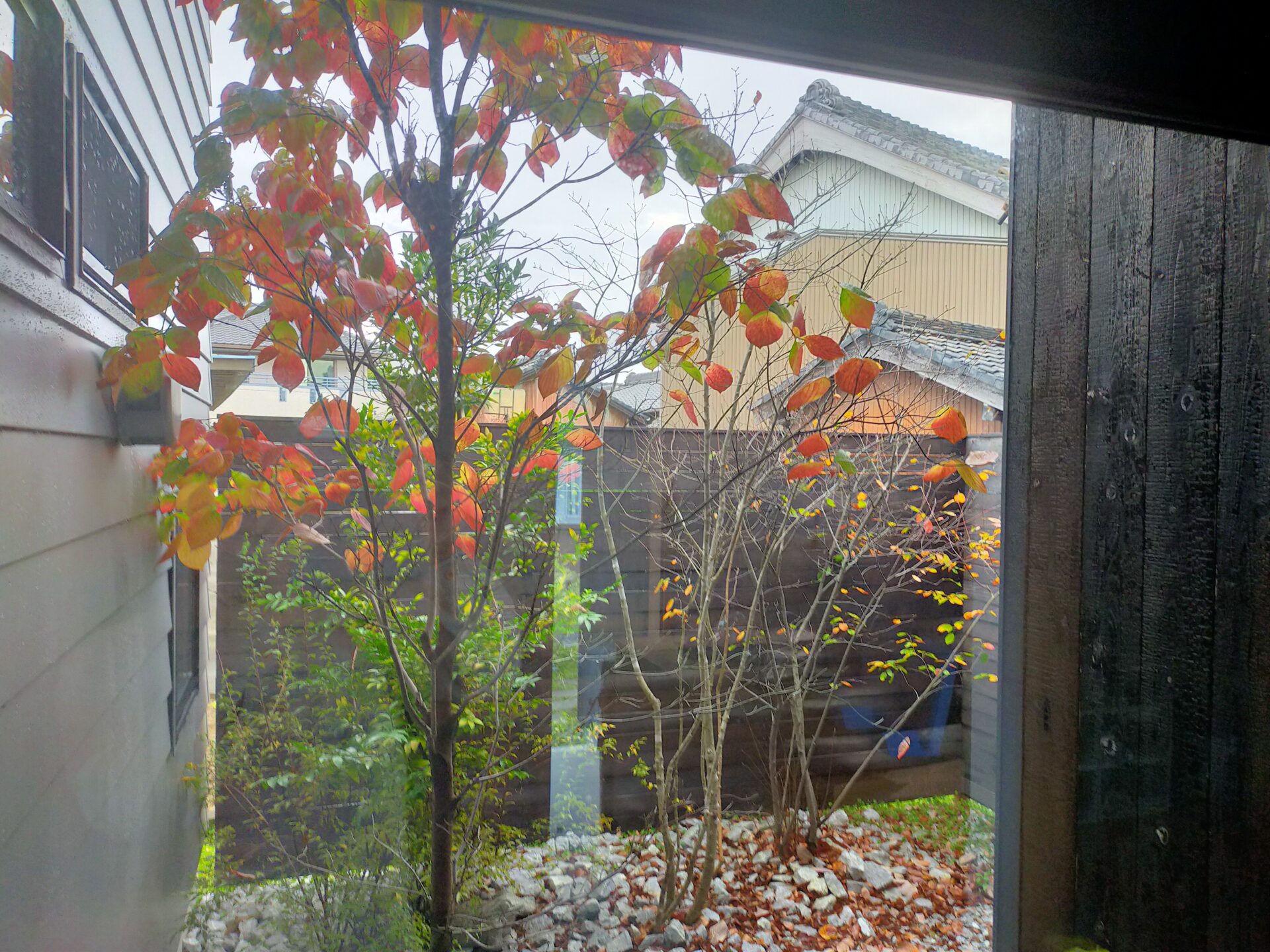 冬を感じさせる窓辺